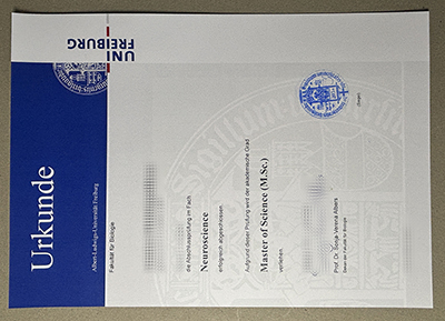 Order Albert Ludwigs Universität Freiburg Urkunde