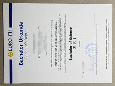 get Europäische Fernhochschule Hamburg Urkunde