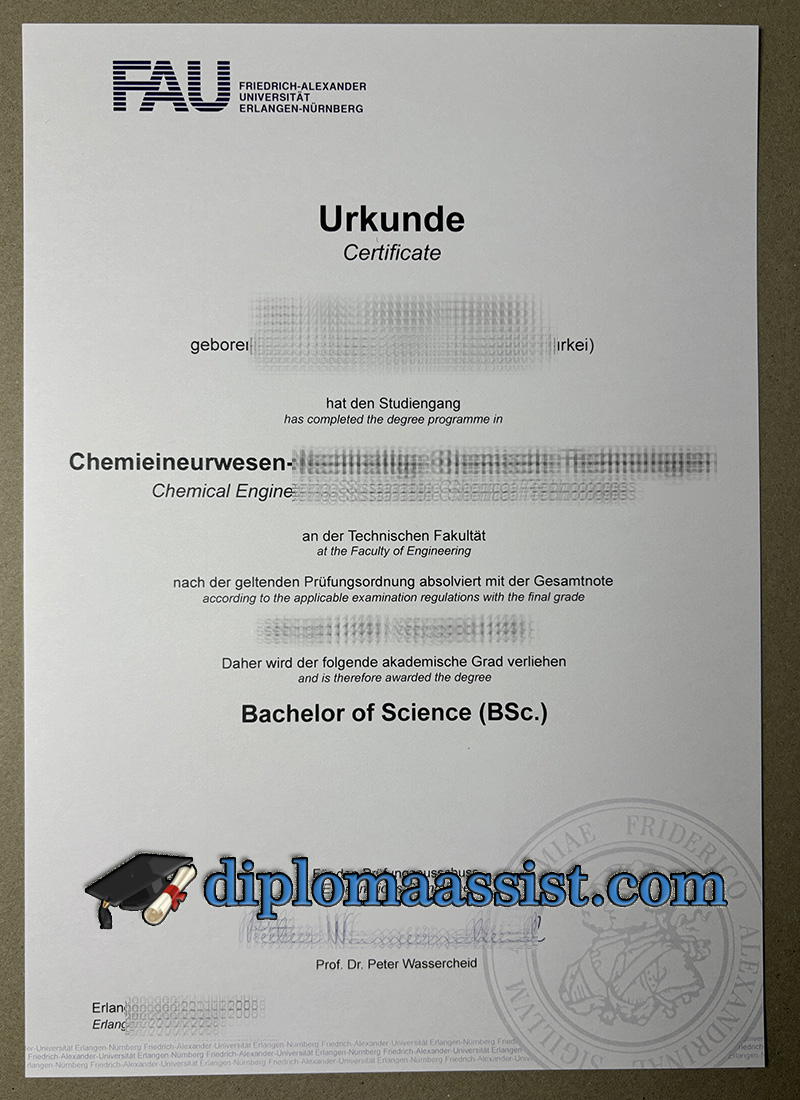 Make University of Erlangen Nuremberg Urkunde