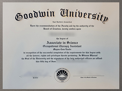 Make Goodwin University diploma