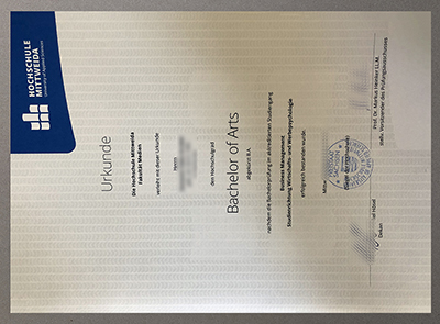 Hochschule Mittweida Urkunde