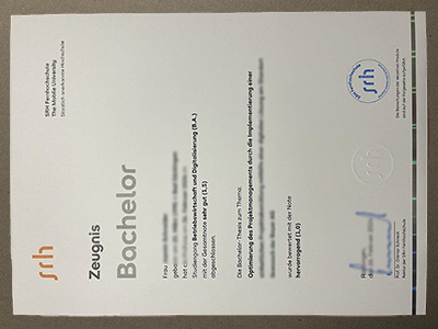 Get SRH Fernhochschule Urkunde