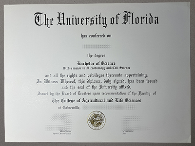get University of Florida diploma