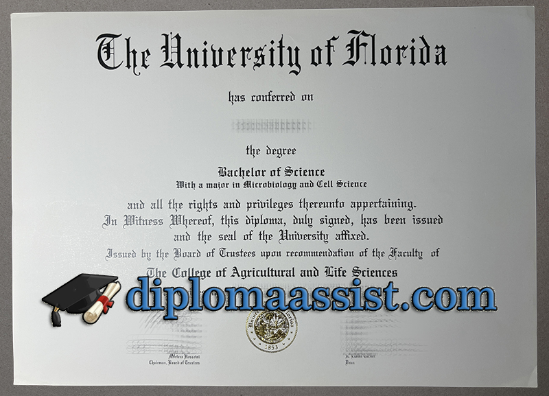 University of Florida diploma