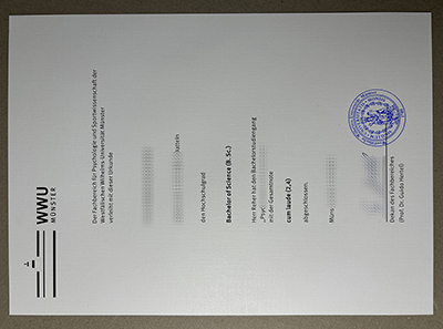 Universität Münster degree
