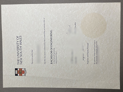 make University of New South Wales diploma