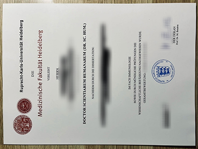 Universitat Heidelberg diploma