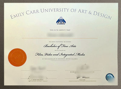 Emily Carr University of Art and Design diploma