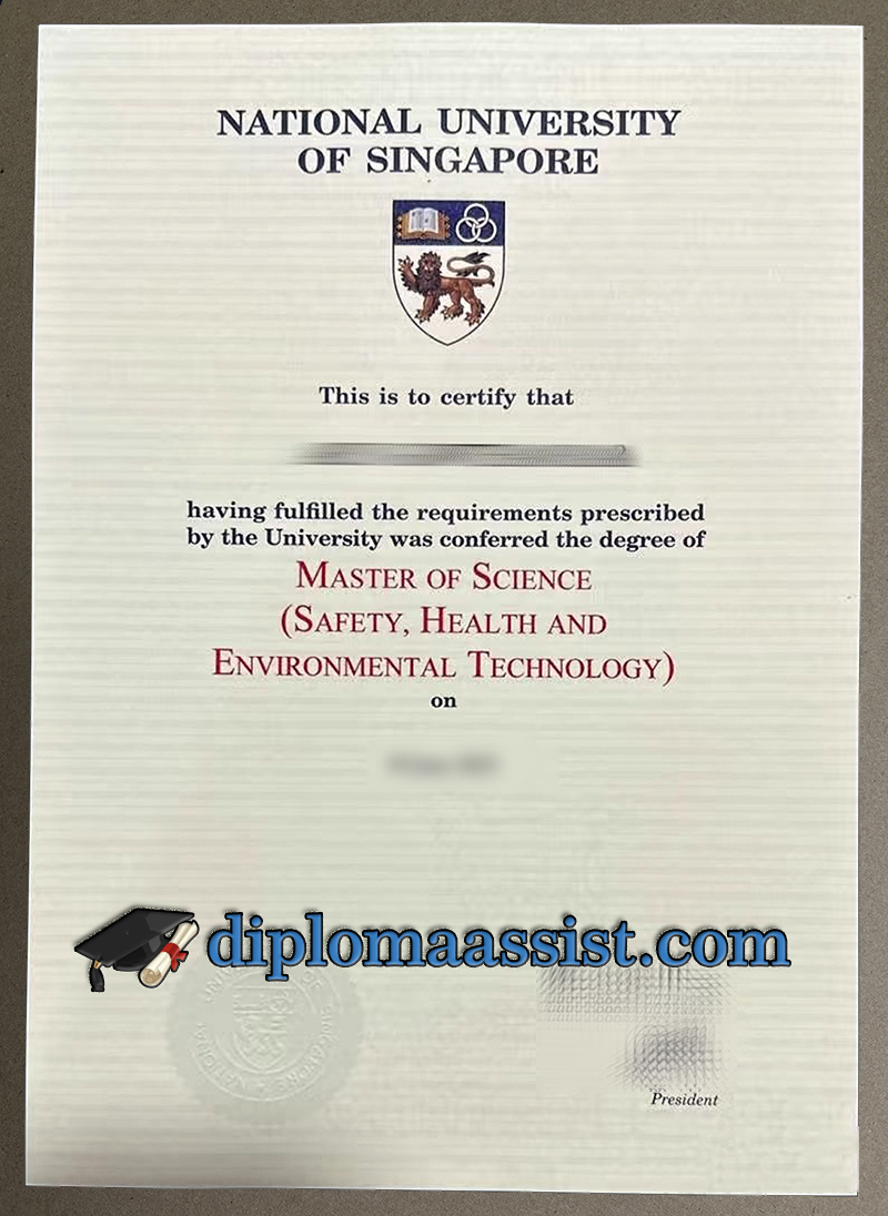 replica National University of Singapore diploma