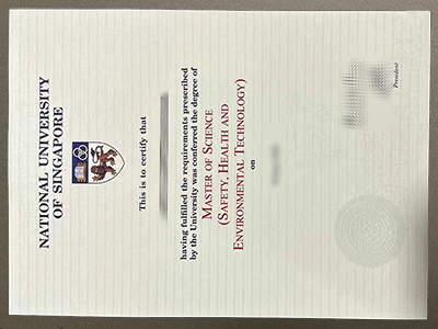 replica National University of Singapore diploma