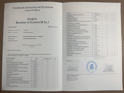 get Technische Hochschule Mittelhessen transcript online