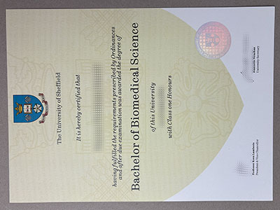 order University of Sheffield diploma