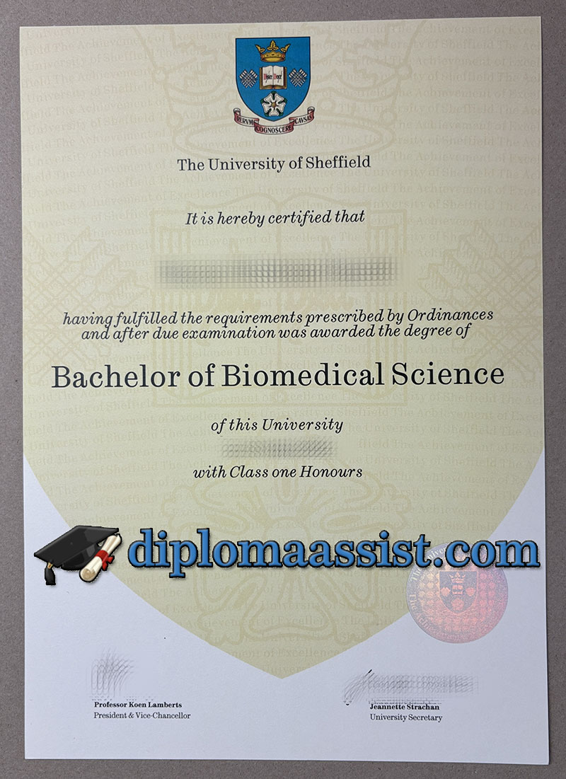 get a University of Sheffield degree online