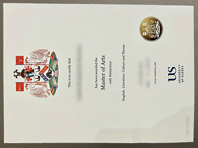 make University of Sussex diploma