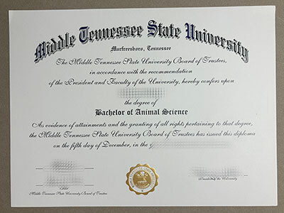 buy Middle Tennessee State University diploma