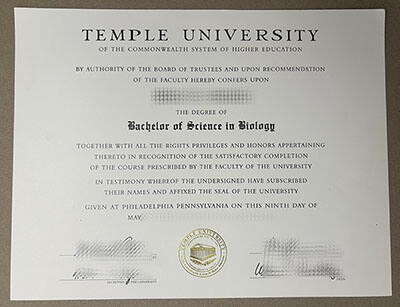 Order Temple University diploma
