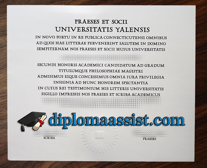 Buy Universitatis Yalensis diploma