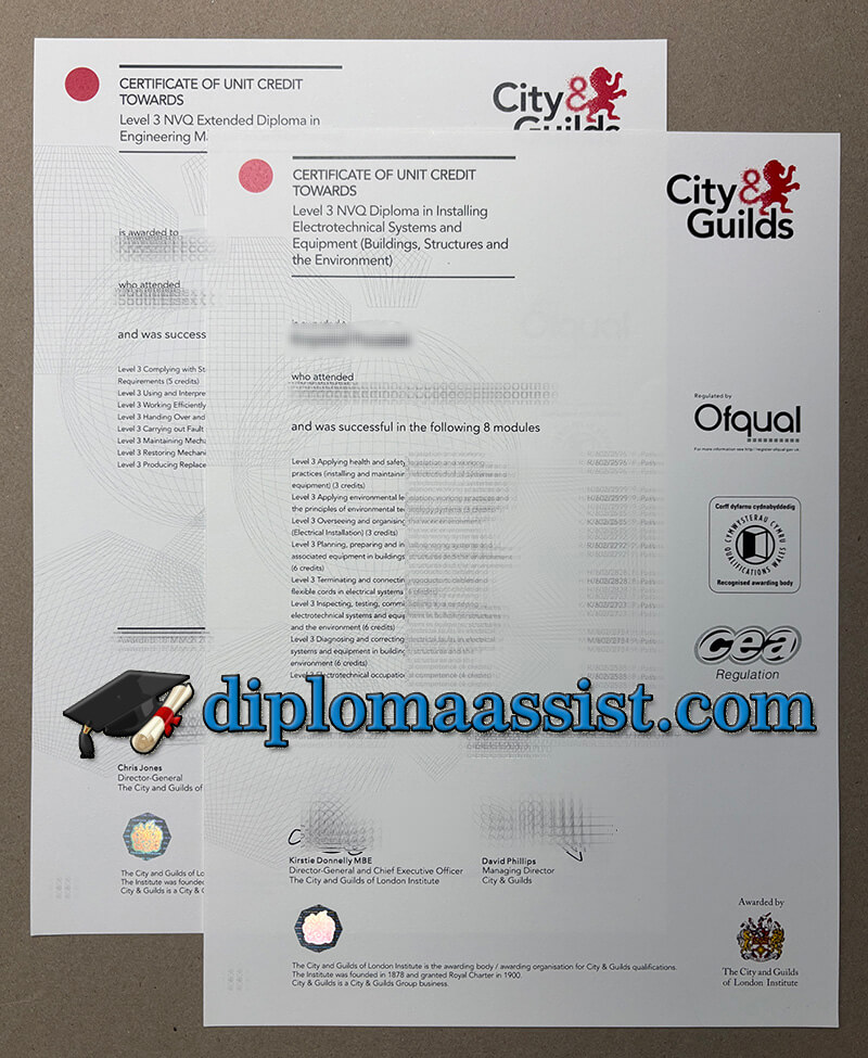 City & Guilds Level 3 NVQ Diploma