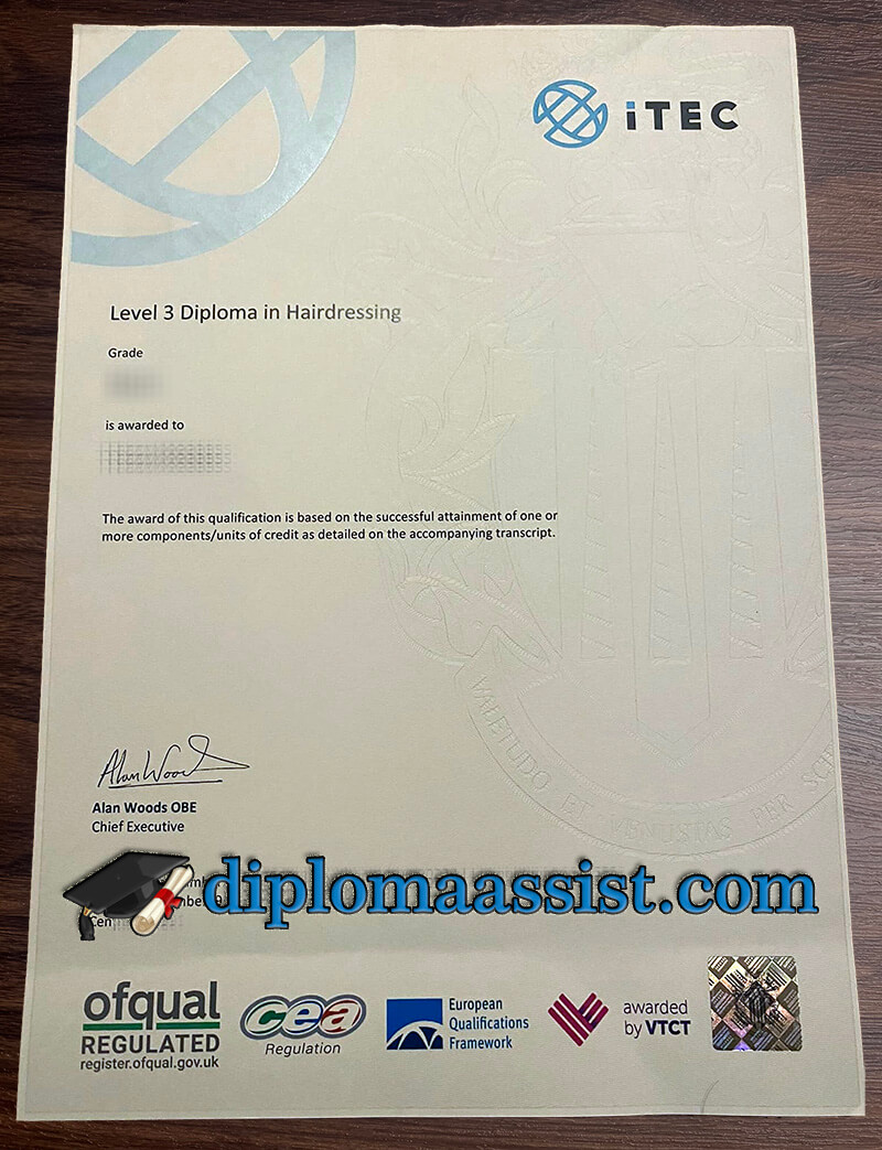 Buy iTEC Level 3 diploma