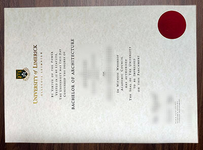 Make University of Limerick diploma