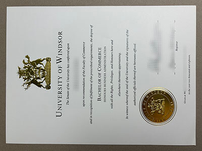 Where to get University of Windsor diploma?
