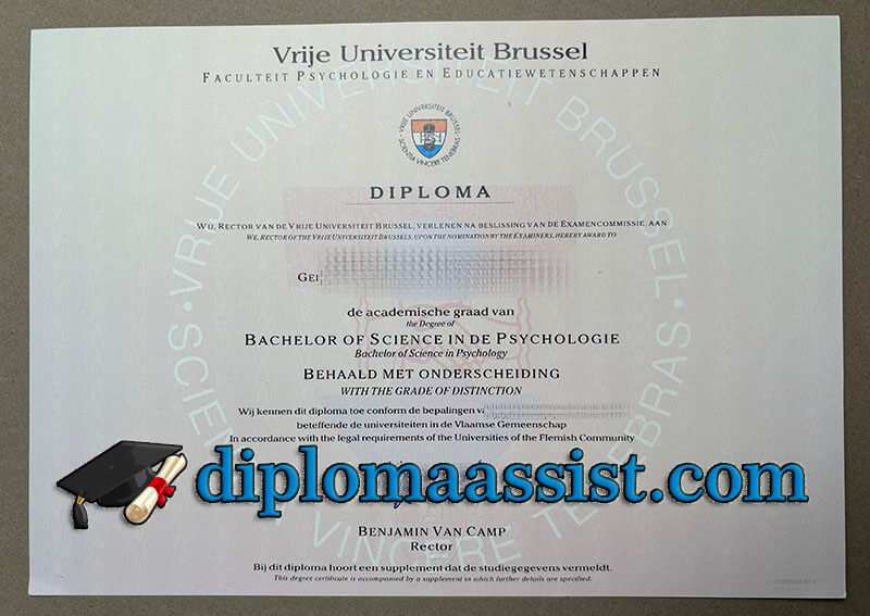 Buy Vrije Universiteit Brussel diploma