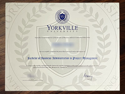 fake Yorkville University diploma